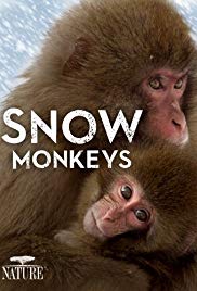 Watch Full Movie :Snow Monkeys (2014)