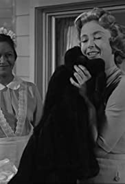 Mrs. Bixby and the Colonels Coat (1960)