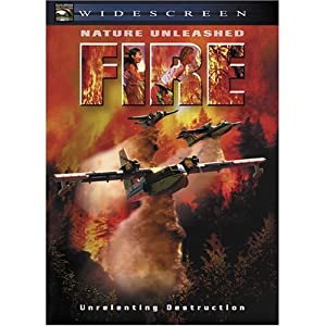 Fire (2004)