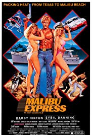 Watch Full Movie :Malibu Express (1985)